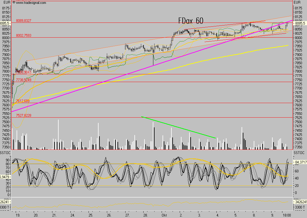 Das Bärengebrüll wird schon wieder lauter, 124512