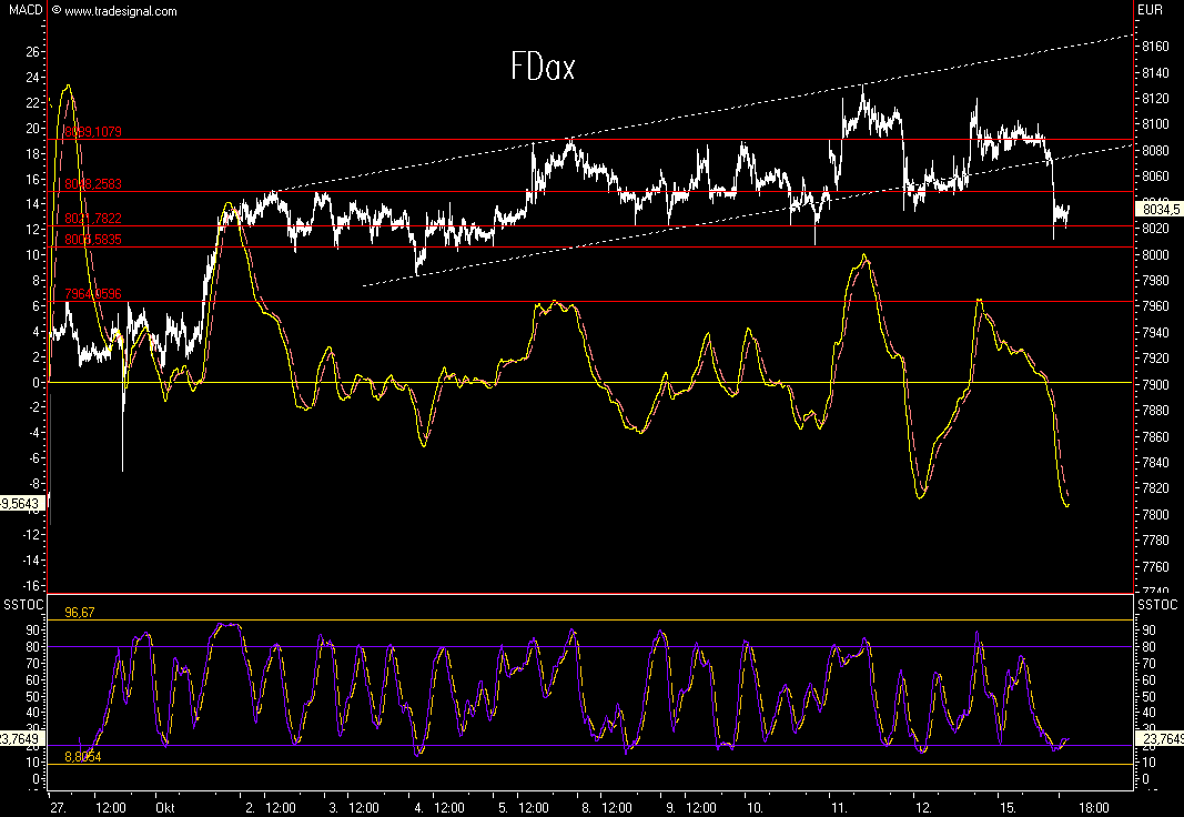 Das Bärengebrüll wird schon wieder lauter, 125586