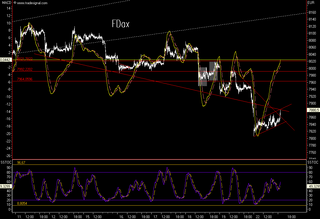 Das Bärengebrüll wird schon wieder lauter, 126944