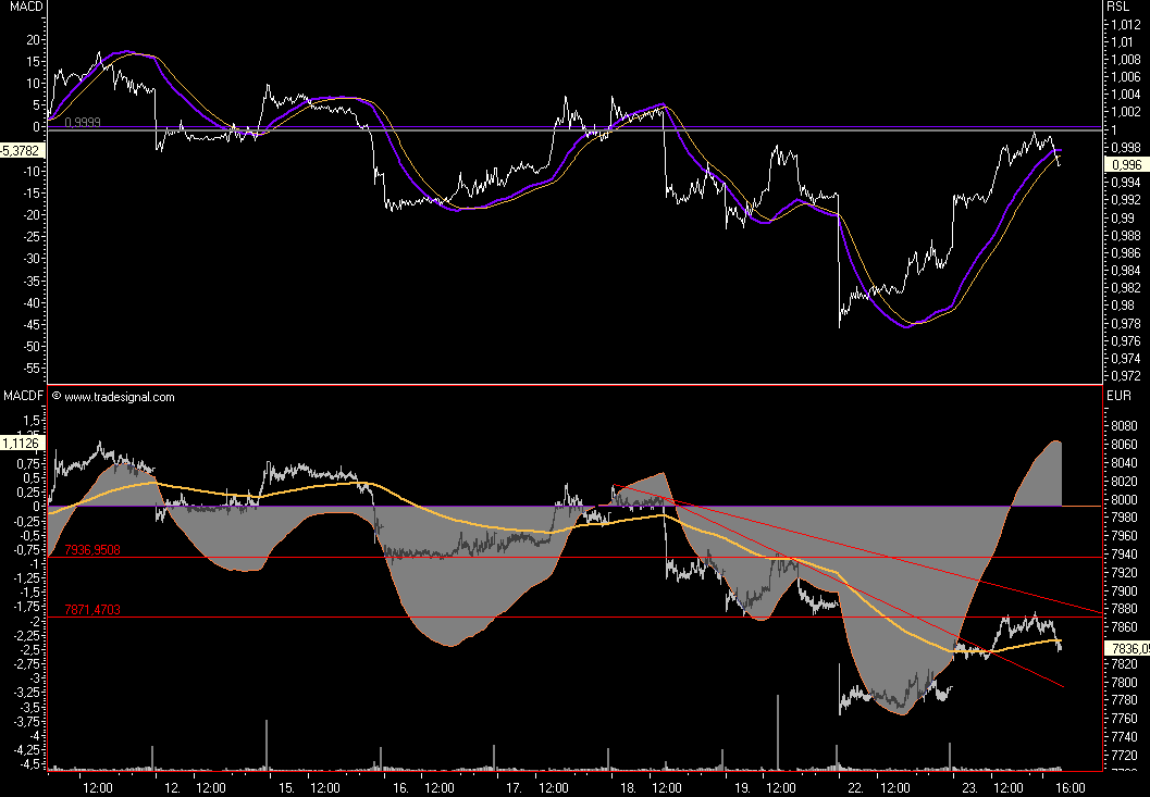 Das Bärengebrüll wird schon wieder lauter, 127181