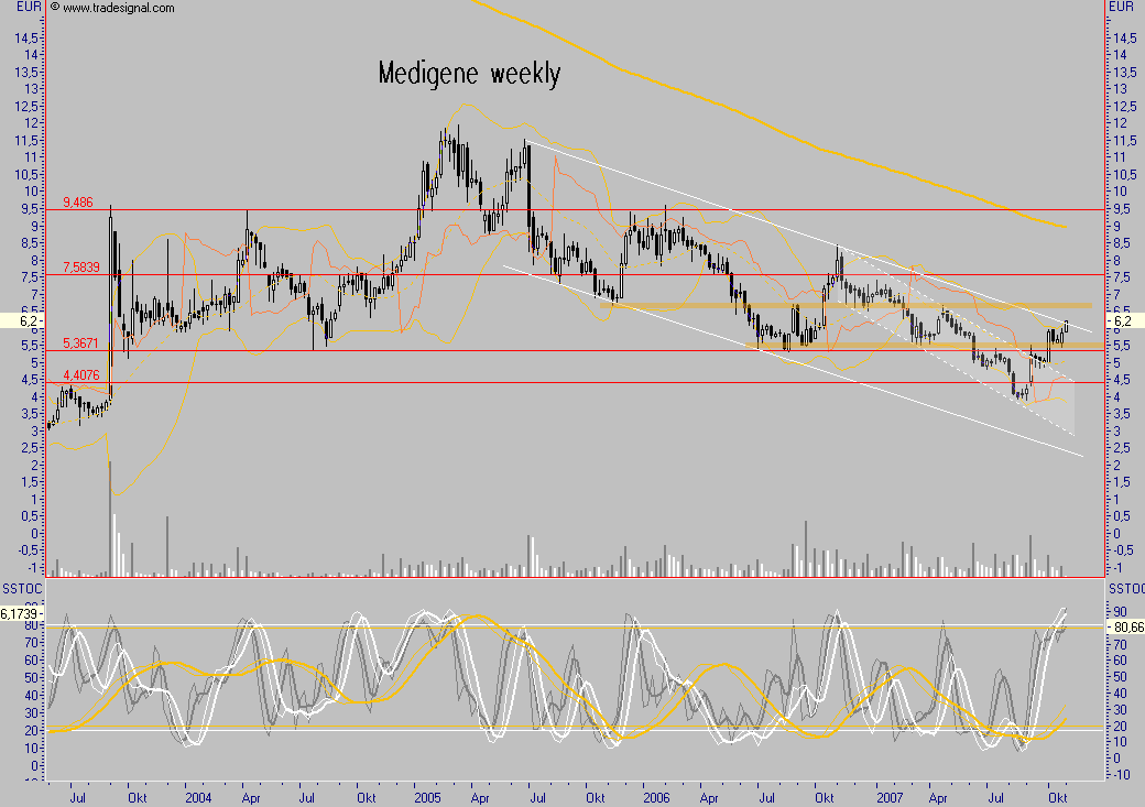 Medigene - der Boden scheint gefünden 128274