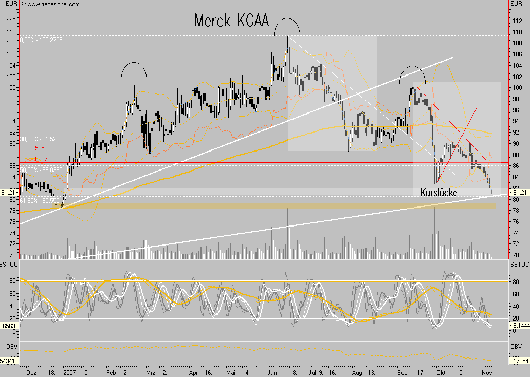 Merck KGaA 130136