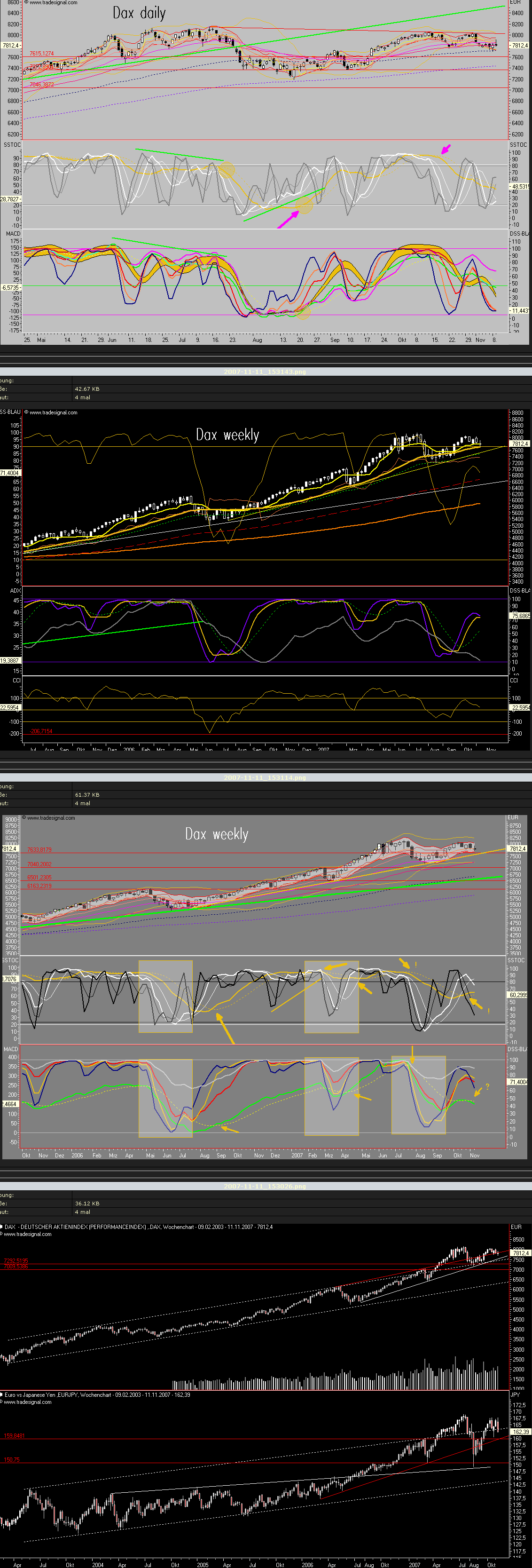 Das Bärengebrüll wird schon wieder lauter, 130586