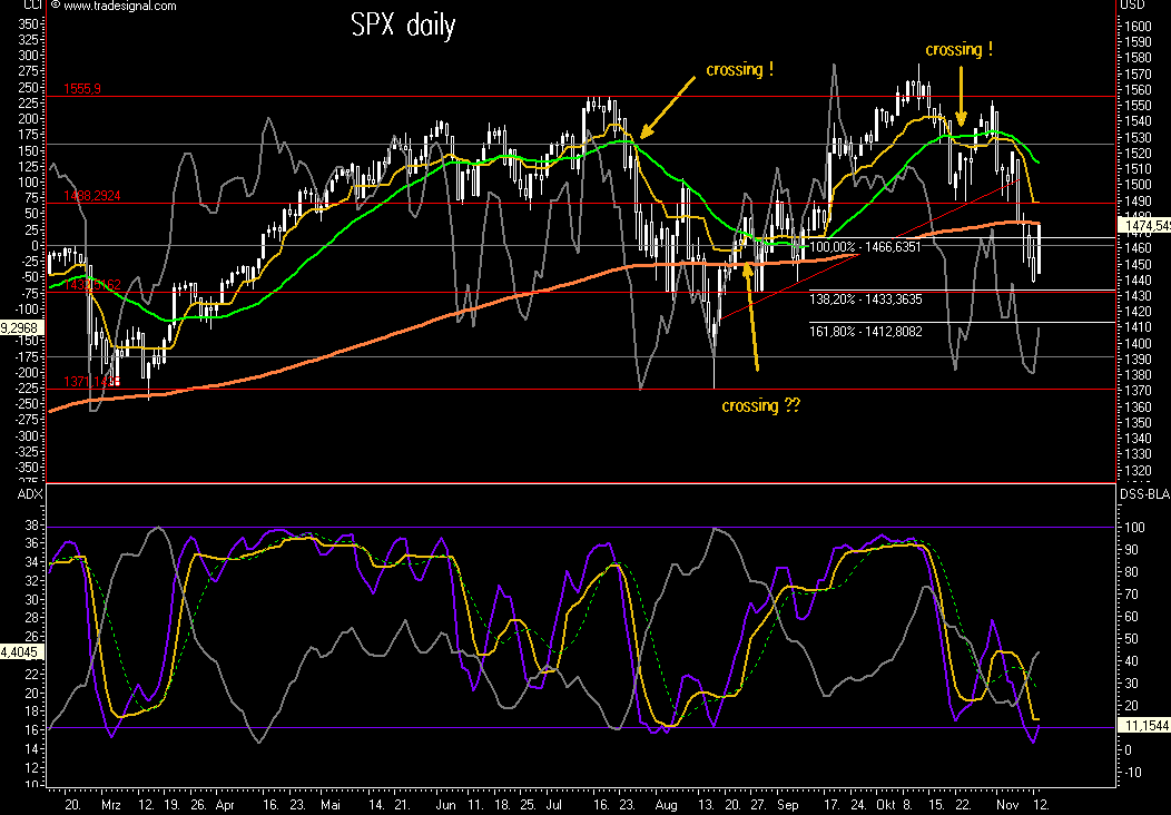 Das Bärengebrüll wird schon wieder lauter, 131043