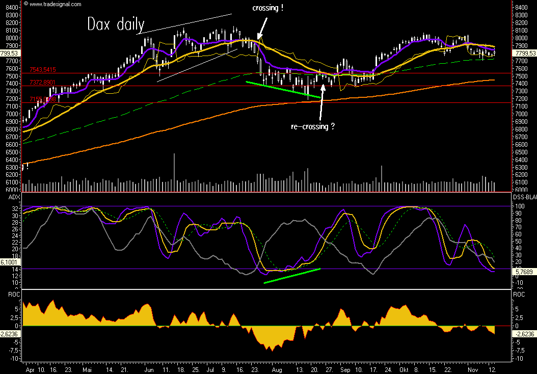 Das Bärengebrüll wird schon wieder lauter, 131177