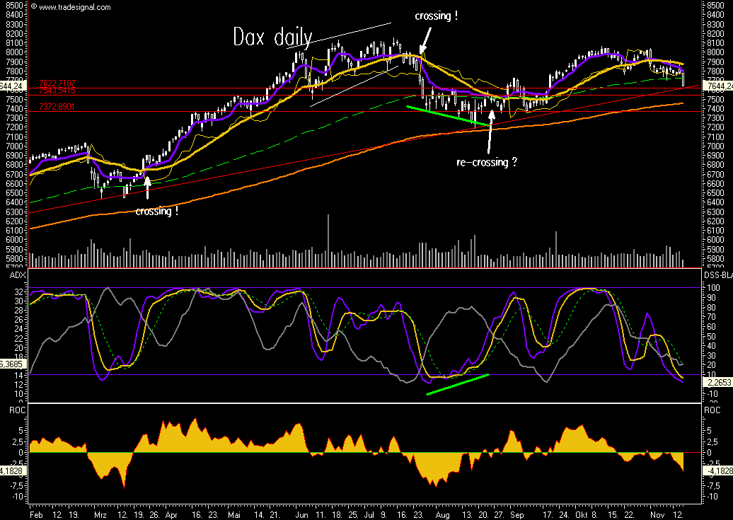 Das Bärengebrüll wird schon wieder lauter, 131378