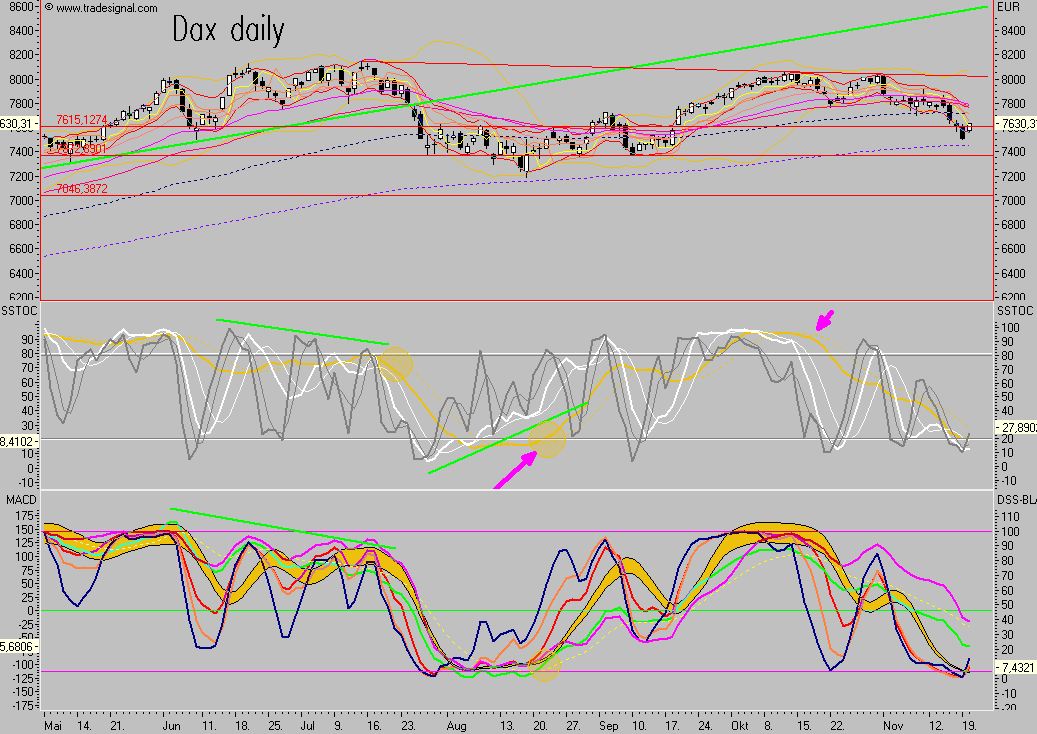 Das Bärengebrüll wird schon wieder lauter, 132128