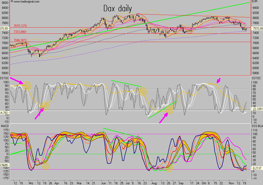 Das Bärengebrüll wird schon wieder lauter, 132439