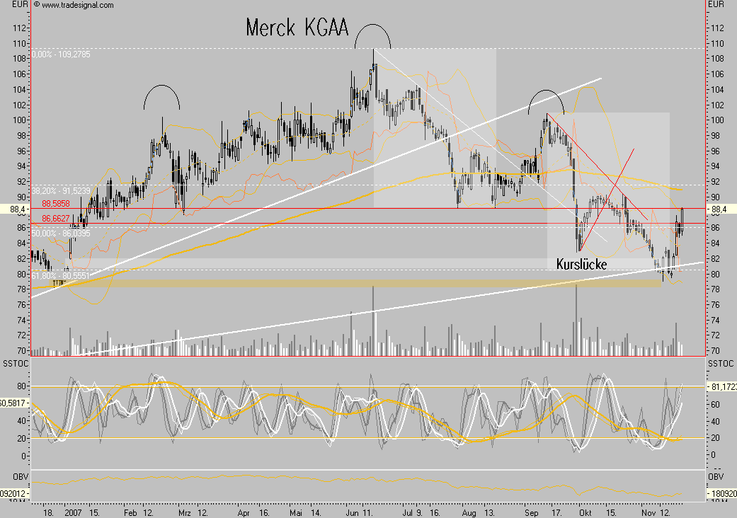 Merck KGaA 132446