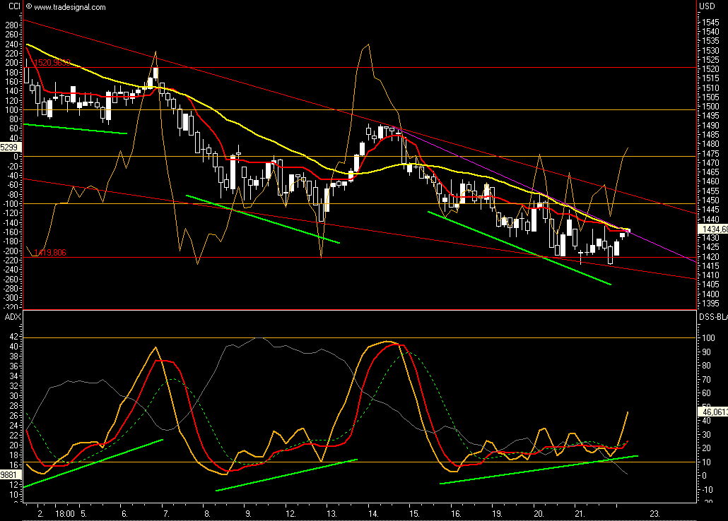 Das Bärengebrüll wird schon wieder lauter, 132690