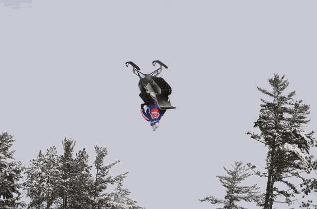 Das Bärengebrüll wird schon wieder lauter, 139046