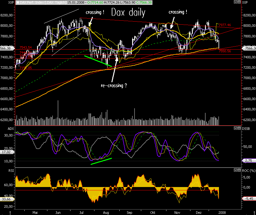 Das Bärengebrüll wird schon wieder lauter, 142006