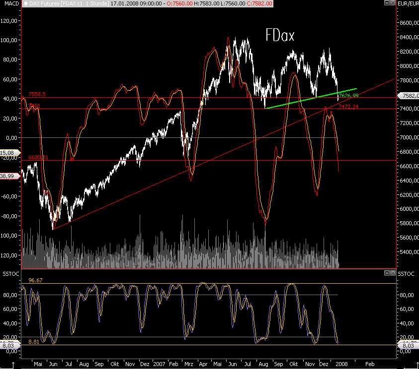Das Bärengebrüll wird schon wieder lauter, 142261