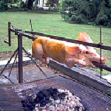 Das Bärengebrüll wird schon wieder lauter, 149318