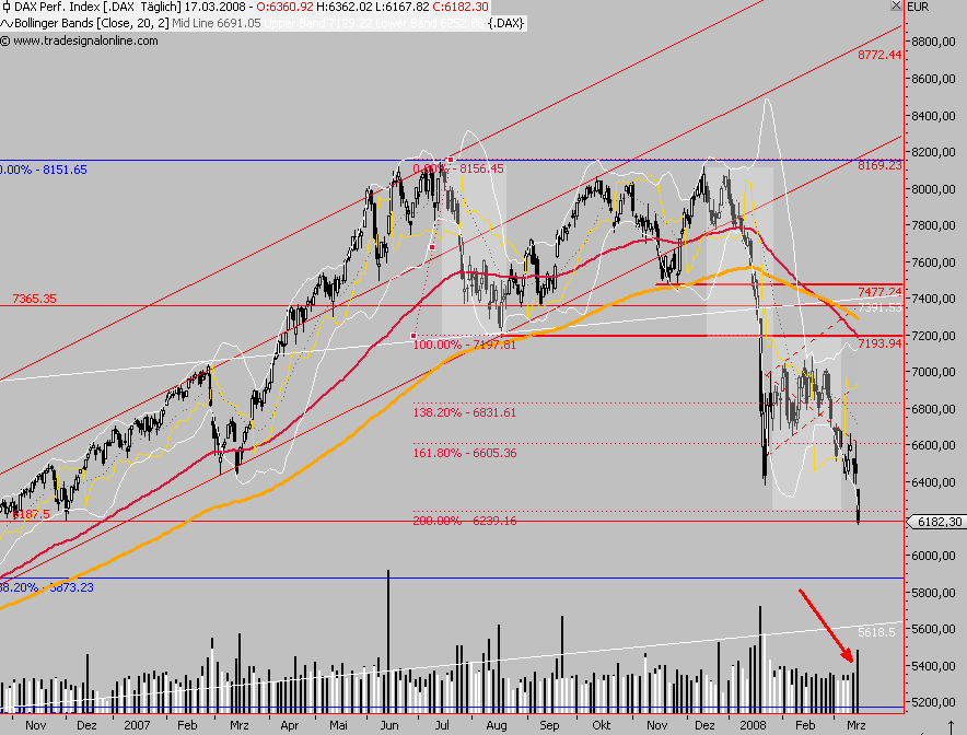 Das Bärengebrüll wird schon wieder lauter, 154992