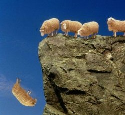 Das Bärengebrüll wird schon wieder lauter, 161102