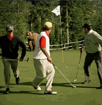 Das Bärengebrüll wird schon wieder lauter, 163346