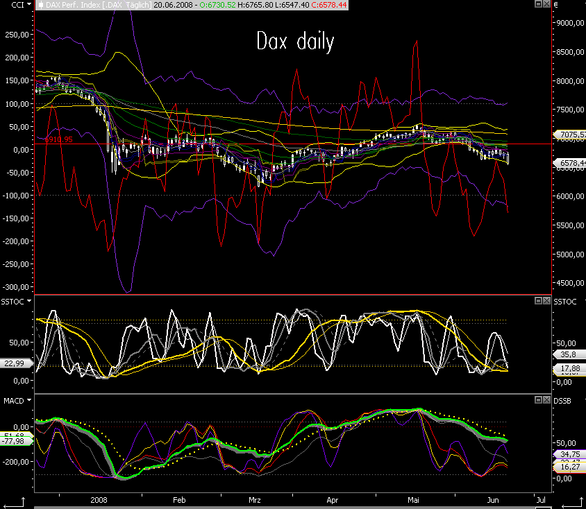 Das Bärengebrüll wird schon wieder lauter, 170653