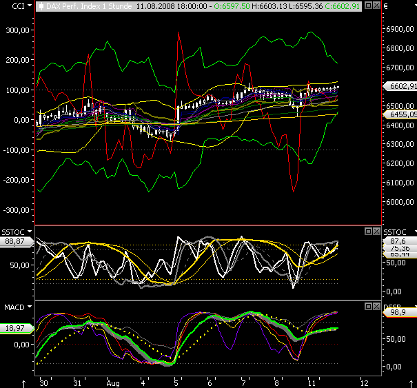 Das Bärengebrüll wird schon wieder lauter, 179461
