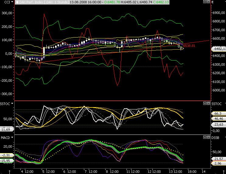 Das Bärengebrüll wird schon wieder lauter, 179906