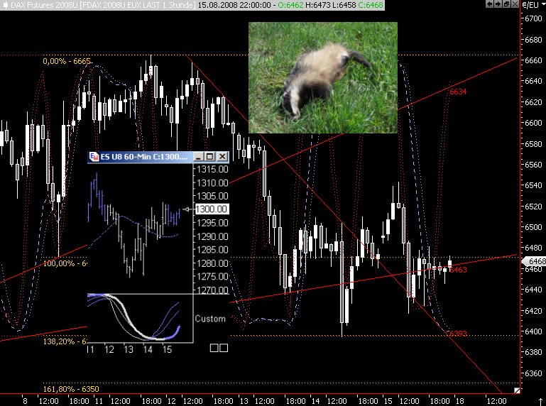 Das Bärengebrüll wird schon wieder lauter, 180470