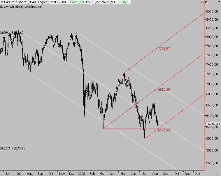 Die Bullen scharren gar nicht mit den Hufen, 181620
