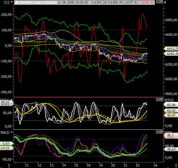 Die Bullen scharren gar nicht mit den Hufen, 182019