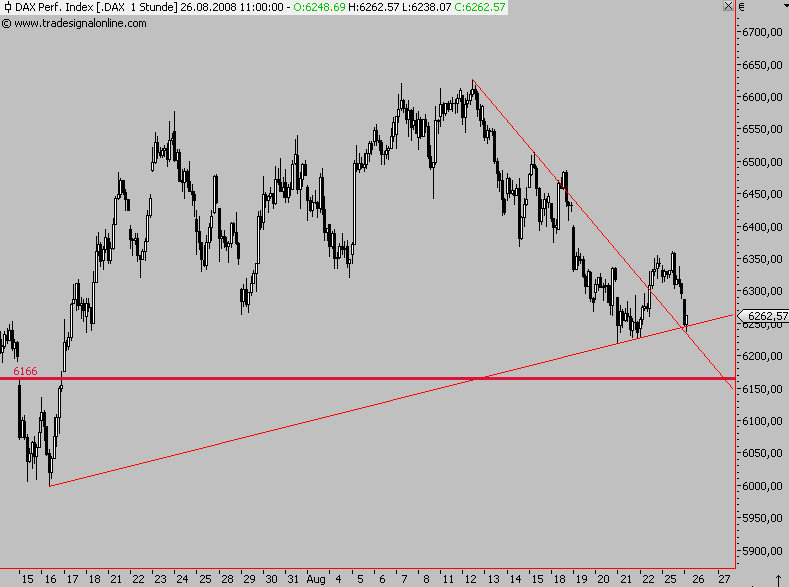 Die Bullen scharren gar nicht mit den Hufen, 182316