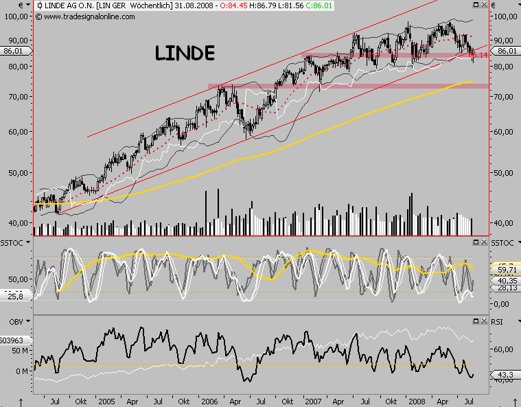 Die Bullen scharren gar nicht mit den Hufen, 183373