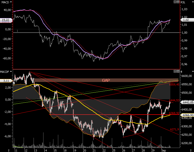 Die Bullen scharren gar nicht mit den Hufen, 183598