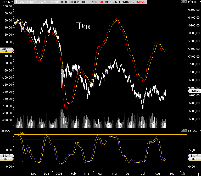 Die Bullen scharren gar nicht mit den Hufen, 183801
