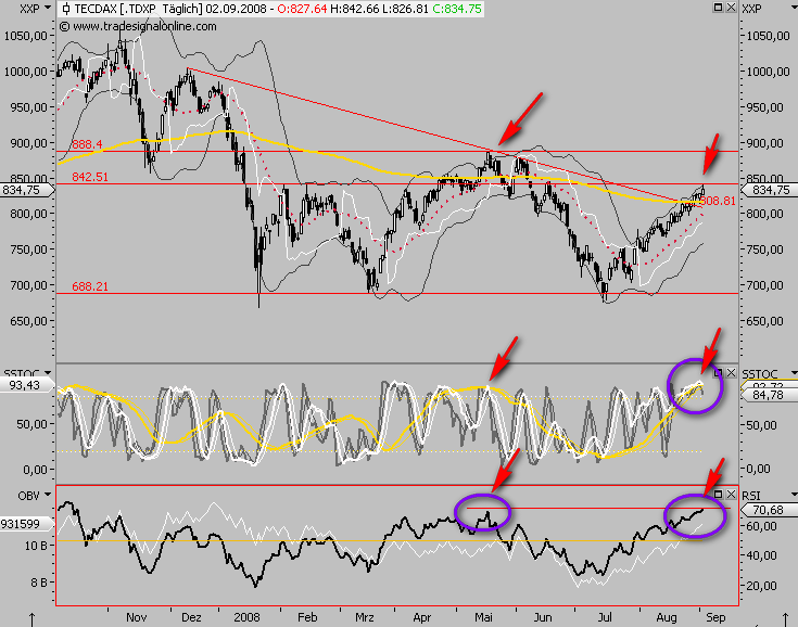Die Bullen scharren gar nicht mit den Hufen, 183880