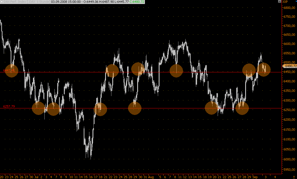 Die Bullen scharren gar nicht mit den Hufen, 184051