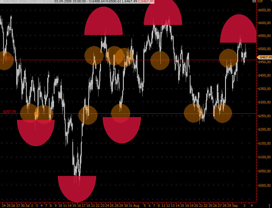 Die Bullen scharren gar nicht mit den Hufen, 184181