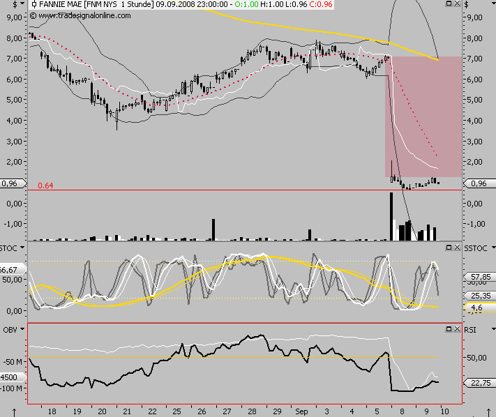 Die Bullen scharren gar nicht mit den Hufen, 185326
