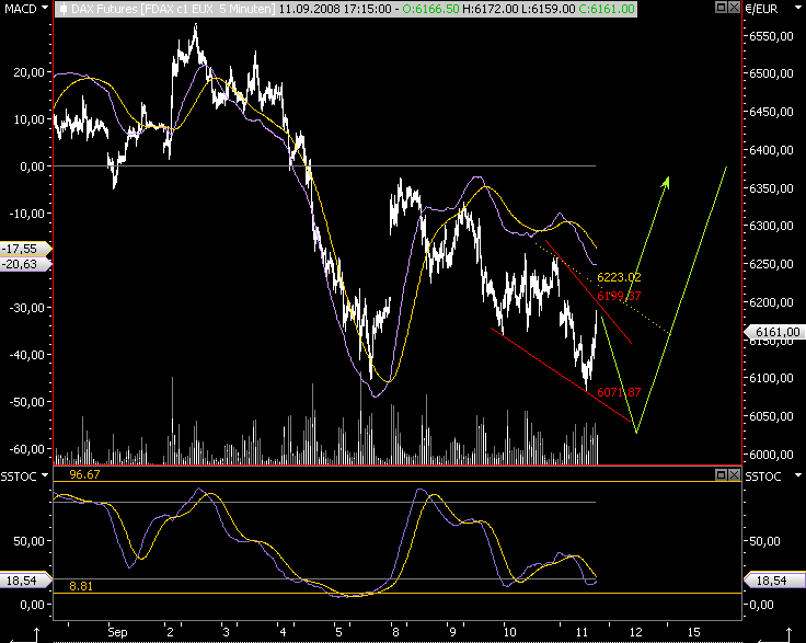 Die Bullen scharren gar nicht mit den Hufen, 185684