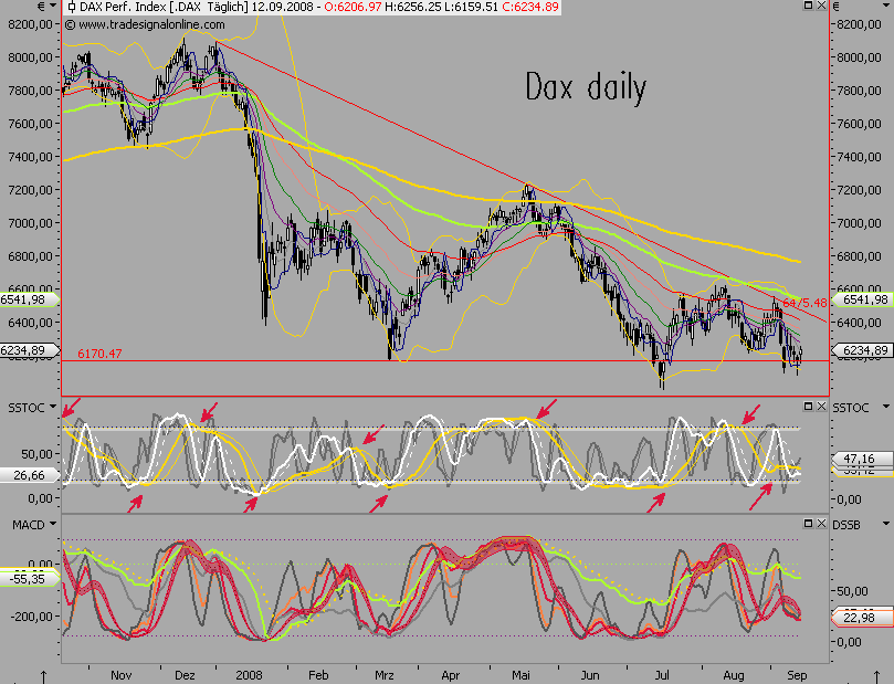Die Bullen scharren gar nicht mit den Hufen, 186253