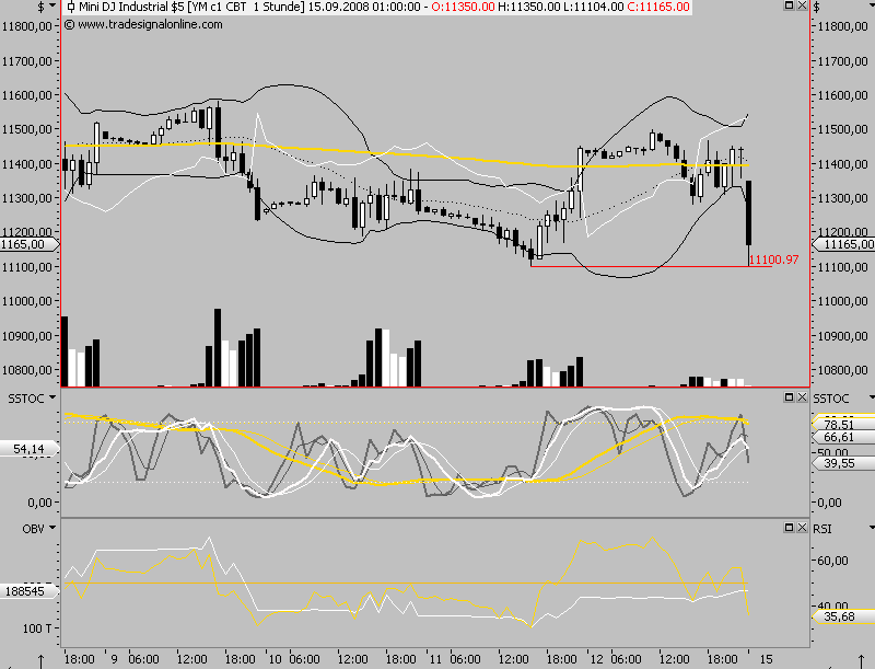 Die Bullen scharren gar nicht mit den Hufen, 186309