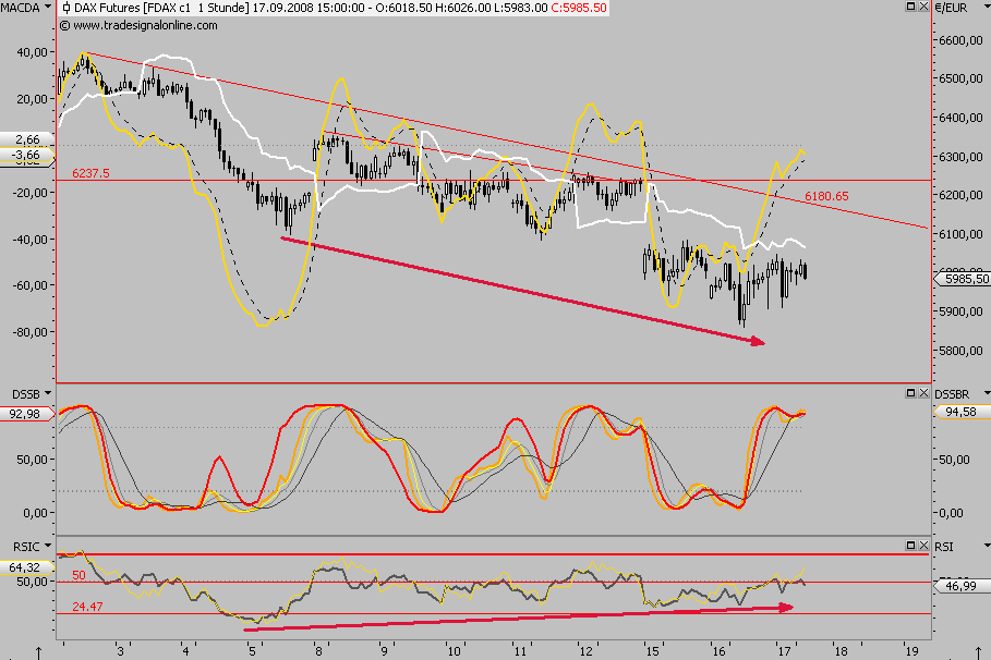 Die Bullen scharren gar nicht mit den Hufen, 186900