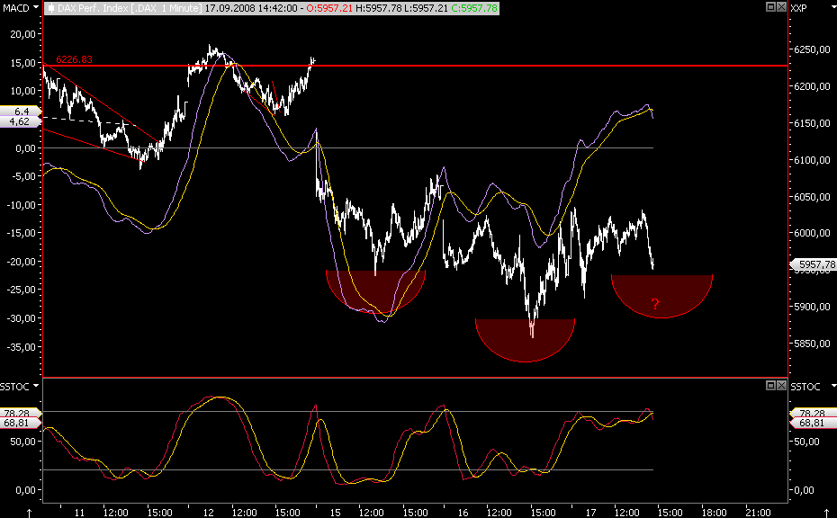 Die Bullen scharren gar nicht mit den Hufen, 186902