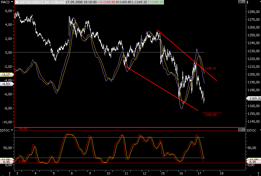 Die Bullen scharren gar nicht mit den Hufen, 186988
