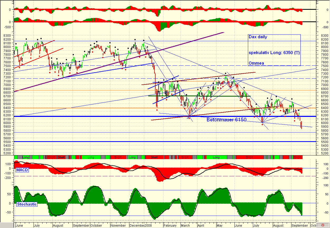 Die Bullen scharren gar nicht mit den Hufen, 186995