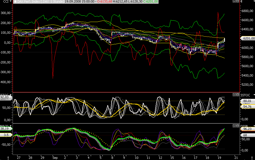 Die Bullen scharren gar nicht mit den Hufen, 187554