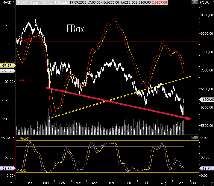 Die Bullen scharren gar nicht mit den Hufen, 187596