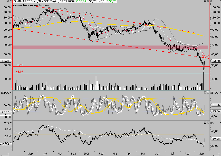 Die Bullen scharren gar nicht mit den Hufen, 187691