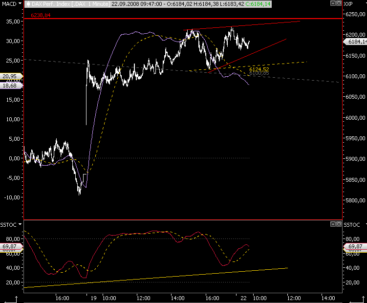 Die Bullen scharren gar nicht mit den Hufen, 187870