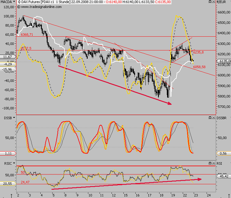 Die Bullen scharren gar nicht mit den Hufen, 187989