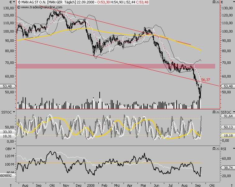 Die Bullen scharren gar nicht mit den Hufen, 188038