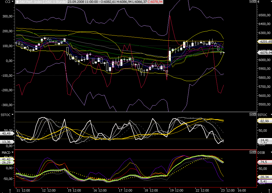 Die Bullen scharren gar nicht mit den Hufen, 188103