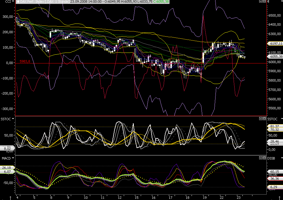 Die Bullen scharren gar nicht mit den Hufen, 188142